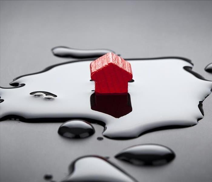 toy red house in a puddle signifying flooding