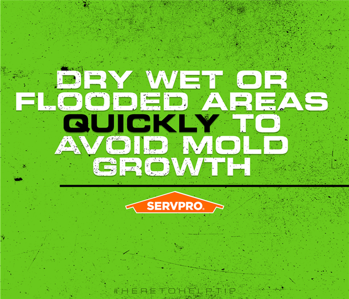 servpro poster   wipe up wet floors, prevent mold